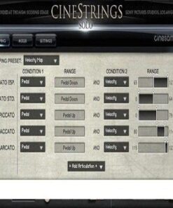 Cinesamples - CineStrings Solo - Full Version