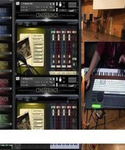 Cinesamples - CineStrings Solo (Close Edition) - Full Version