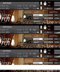 Cinesamples - CinePerc AUX 1.1 - Full Version