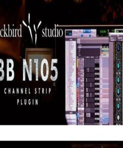 KIT Plugins - BB N105 1.1.0 - Full Version