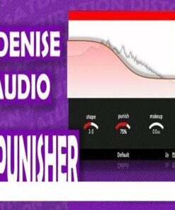 Denise Audio - Punisher 2.0.0 - Full Version