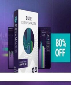 Signum Audio - Bute Loudness Analyser 2 Stereo & Surround 2.0.0 - Full Version
