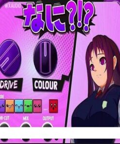 WXAudio - NANI Plugin 1.0.2 - Full Version