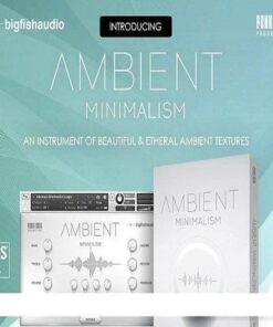 Big Fish Audio - Ambient Minimalism - Full Version
