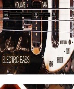 Adam Monroe Music - Adam Monroe and Electric Bass 1.3 - Full Version