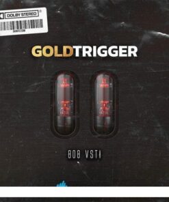Digikitz - Gold Trigger 1.0.0 - Full Version