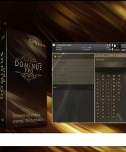 Fluffy Audio - Dominus Choir Pro - Full Version