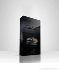 Audiowiesel - Hammered Acoustic Guitar Full Bundle v1.5 - Full Version