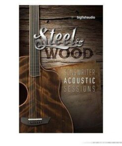 Big Fish Audio - Steel and Wood Songwriter Acoustic Sessions - Full Version