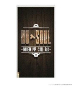 Big Fish Audio - Nu-Soul - Full Version