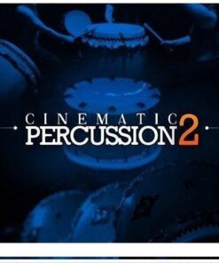Big Fish Audio - Cinematic Percussion 2 - Full Version