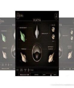 Sly-Fi Digital - Kaya 1.1.0 - Full Version