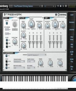 Steinberg - Triebwerk 1.6.1 - Full Version