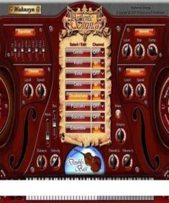 Wahnsyn - Authentic Strings - Full Version