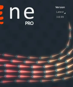 Spine Pro v3.8.75 - Full Version