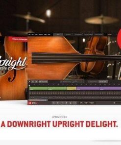 Toontrack - Upright EBX v1.0.0 - Full Version