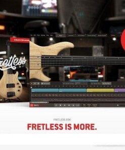 Toontrack - Fretless EBX Library 1.0.1 - Full Version