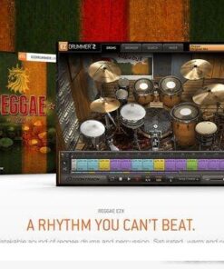 Toontrack - Toontrack Reggae EZX - Full Version