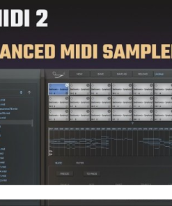 SongWish - reMIDI 2 v2.0.5 - Full Version