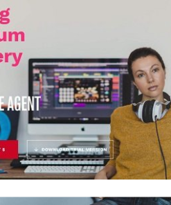 Steinberg - Groove Agent 5 Additional Content (SOUNDBANK) 72GB - Full Version
