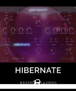 Rigid Audio - Hibernate 2.9.0.0 - Full Version