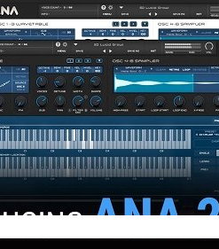 Sonic Academy & Slate Digital - ANA 2 v2.5.4 - Full Version
