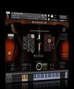 Indiginus - The Mandolin - Full Version