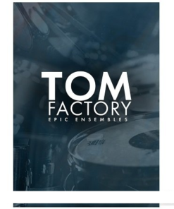 Fracture Sounds - TOM FACTORY - Full Version