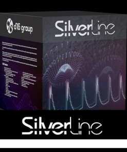 D16 Group - SilverLine Collection 2024.03 - Full Version