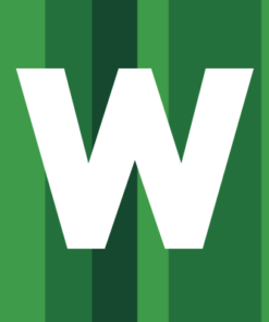 WildBit Viewer Pro 6.14 Commercial - Full Version