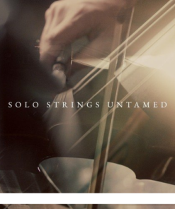 Westwood Instruments - Solo Strings Untamed v2.1  - Full Version