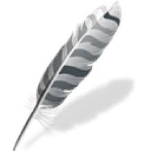 Wing IDE Pro 10.0.5 - Full Version