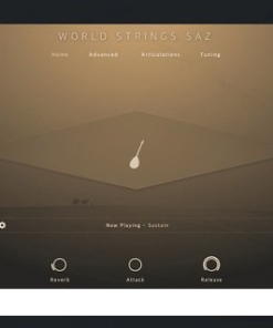 Evolution Series - World Strings Saz  - Full Version