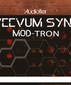 Audiofier - VEEVUM Sync Mod-Tron  - Full Version