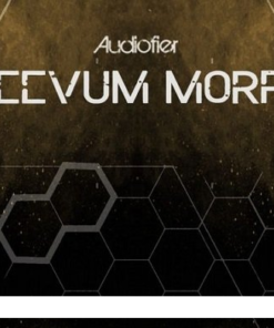 Audiofier - VEEVUM Morph  - Full Version