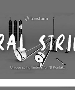 Tonsturm - Spiral Strings v1.6  - Full Version
