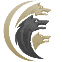 Cerberus FTP Server Enterprise 2024.2 - Full Version