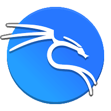Kali Linux 2024.2 - Full Version