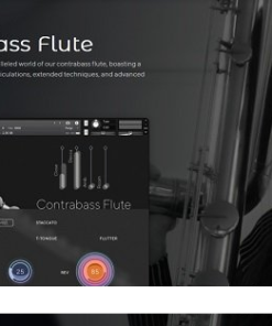Auddict - Daniela Mars Contrabass Flute  - Full Version