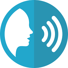 DSpeech 1.74.50 - Full Version