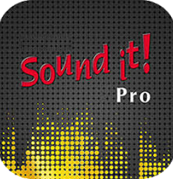 Internet Sound It 9 Pro v9.01.4 - Full Version
