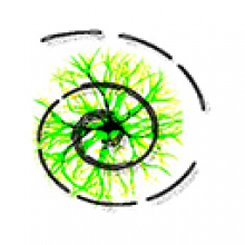 3delite MP4 Silence Cut 1.0.25.28 - Full Version