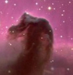 WinStars 3.0.301 - Full Version