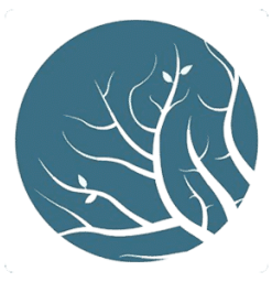 Lumion Pro 2023.4.2.0 - Full Version