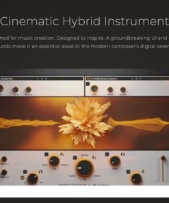 Audivor - Terrastrate  - Full Version