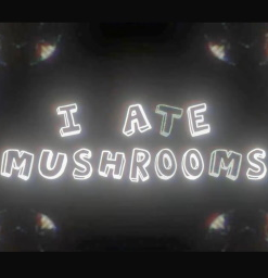 AEScripts I Ate Mushrooms 1.5.4 for After Effects - Full Version