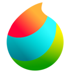 MediBang Paint Pro 29.1 - Full Version