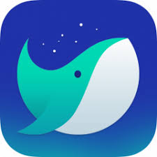Whale Browser 3.21.192.18 - Full Version
