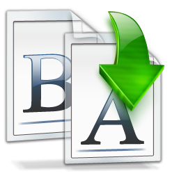 BatchRename Pro 4.5.1.1 - Full Version
