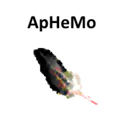 KC Softwares ApHeMo 2.20.0.31 - Full Version